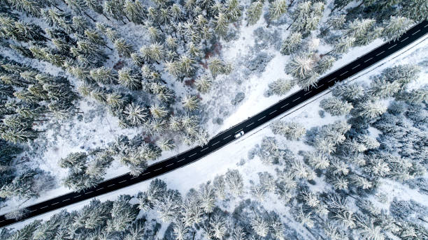 istock Road through the wintery forest - aerial view 1097617298