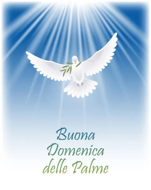 Vector illustration of Happy Palm Sunday in Italian. Greeting card with white flying dove and olive branch.