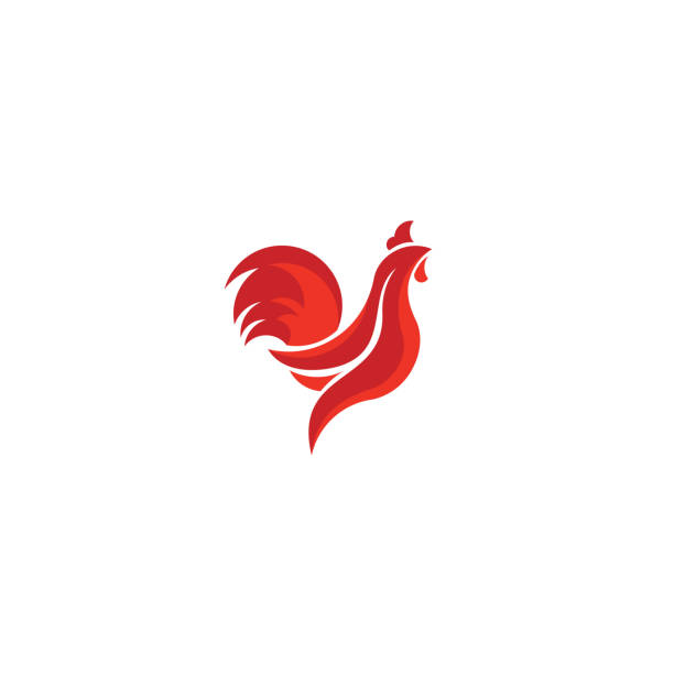 hahn-company logo vektorgrafik template design - chicken poultry cartoon cockerel stock-grafiken, -clipart, -cartoons und -symbole