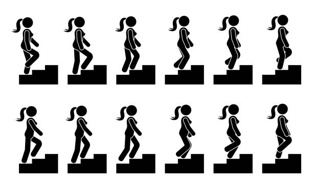 784 Woman Walking Sequence Illustrations & Clip Art - iStock