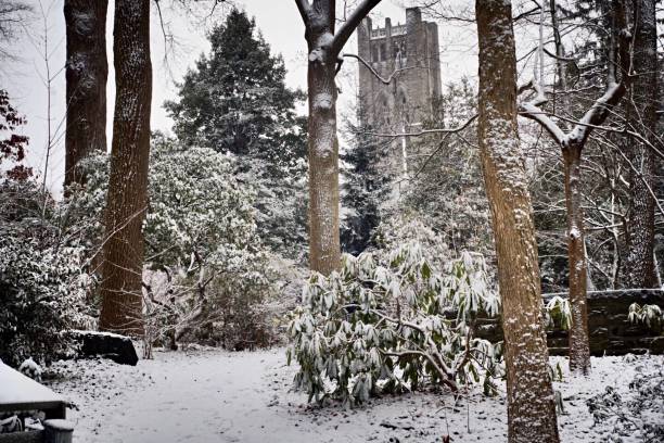 istock A fresh snowfall in the park in Philadelphia, PA 1097634468