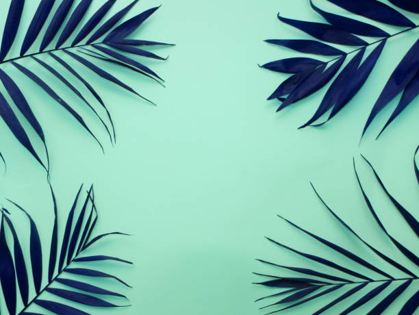 istock Dark blue palm leaves on a blue background 1097648528