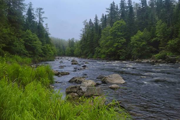 istock Foggy morning on the mountain river. 1097657442