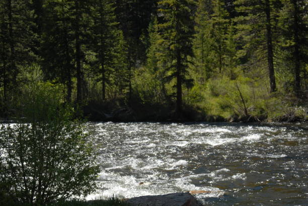 istock Colorado streams and mountains 1097659110