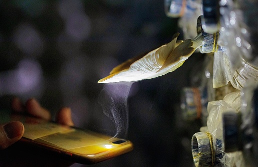 A mushroom spreading its spores seen under lighting , in a mushroom farm as shot in Khao Yai, Thailand.