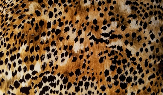 Colors of Black, White, Beige and Tan in a Luxurious Leopard Velvet Pattern/Background