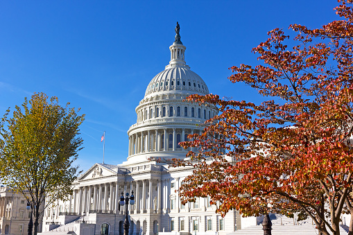 United States Capitol in autumn, Washington DC, USA.