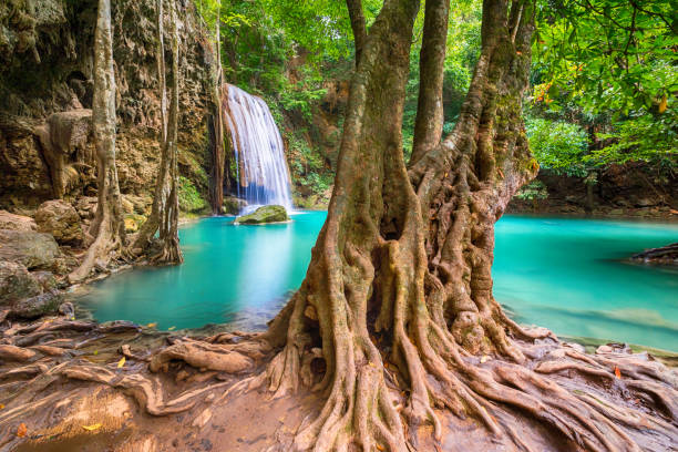 scenic view of waterfall beautiful (erawan waterfall) in kanchanaburi province asia southeast asia thailand, travel destinations concept - erawan imagens e fotografias de stock