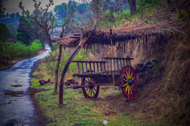 campagna del maharashtra... - maharashtra foto e immagini stock