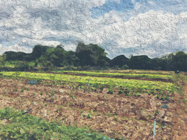 agriculture field concept, Oil painting image