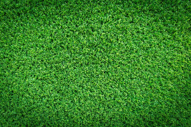 istock Grass texture background for golf course, soccer field or sports concept design. Artificial green grass. 1097710794