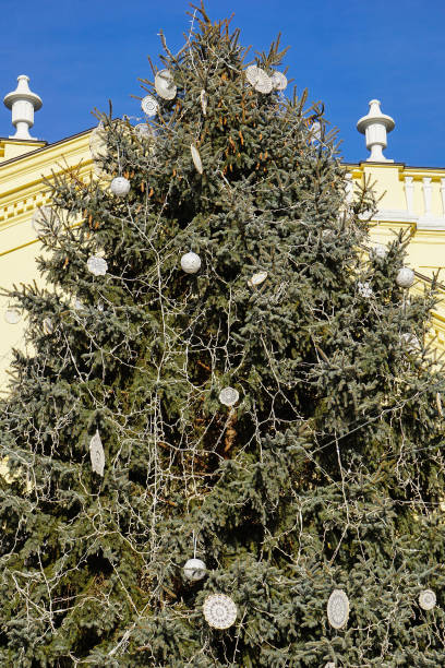 istock High christmas tree outdoor 1097726292