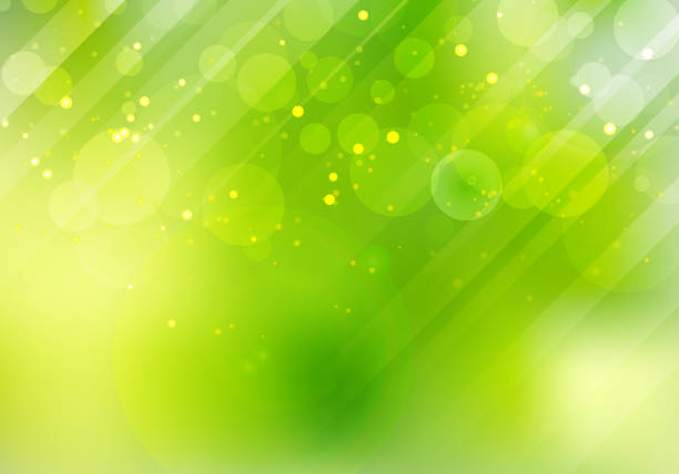 abstrakcyjna zielona natura bokeh rozmyte tło z flary obiektywu i oświetlenia. - fantasy sunbeam backgrounds summer stock illustrations