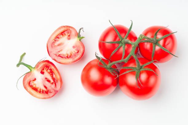 fresh plum tomatoes on white background with natural shadow. - plum tomato fotos imagens e fotografias de stock