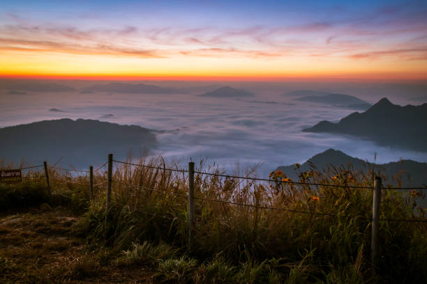 wschód słońca nad mgłą i mountian w phu chifa, tajlandia. - chifa zdjęcia i obrazy z banku zdjęć