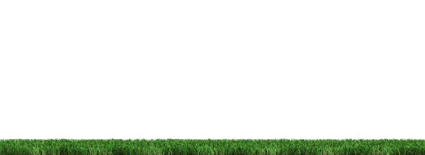 istock Strip of Very Well cut Green Grass 1097753834