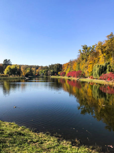 istock Autumn background, panoramic view of calm lake 1097758490