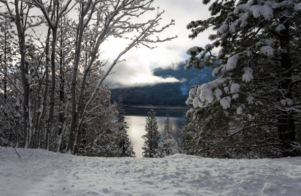 istock Winter river view from forest riverbank 1097762774