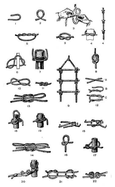 ilustrações de stock, clip art, desenhos animados e ícones de antique old french engraving illustration: knots - tied knot illustrations