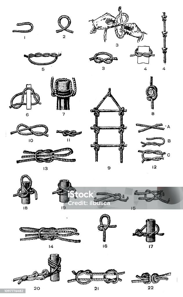 Antique old French engraving illustration: Knots Tied Knot stock illustration