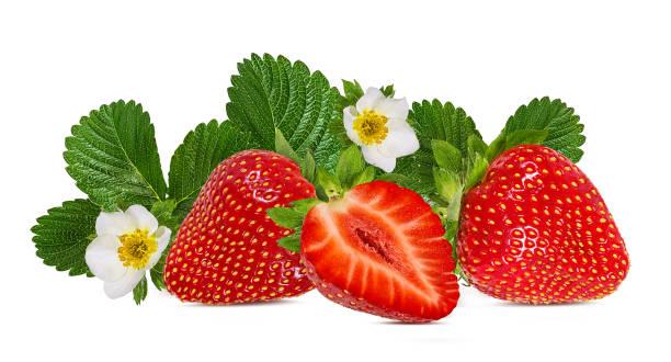 istock Strawberries with leaves and flowers isolated on white background with clipping path 1097784934