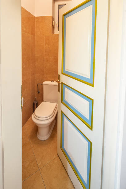 istock bathroom with toilet seat and bidet 1097789954