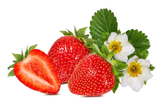 istock Strawberries with leaves and flowers isolated on white background with clipping path 1097792730