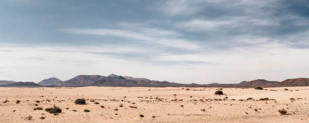 Panoramic empty desert background Panoramic empty desert background with copy space arid climate stock pictures, royalty-free photos & images