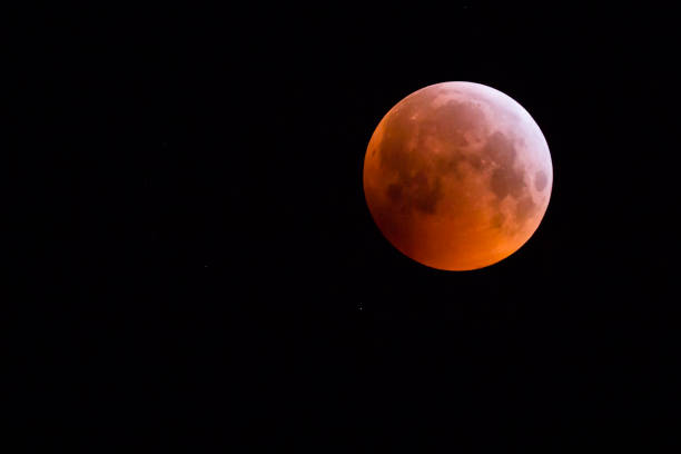 istock Super blood wolf moon at january 21th 2019 (the Netherlands) 1097800302