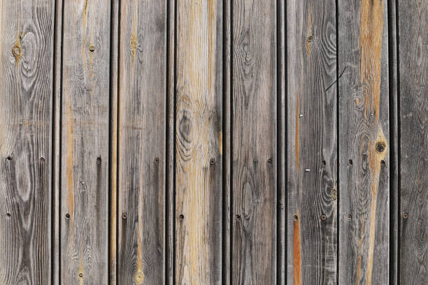istock Grungy wood planks background 1097802594