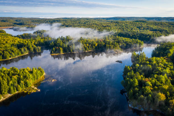 istock Lake and forest with morning mist 1097806570