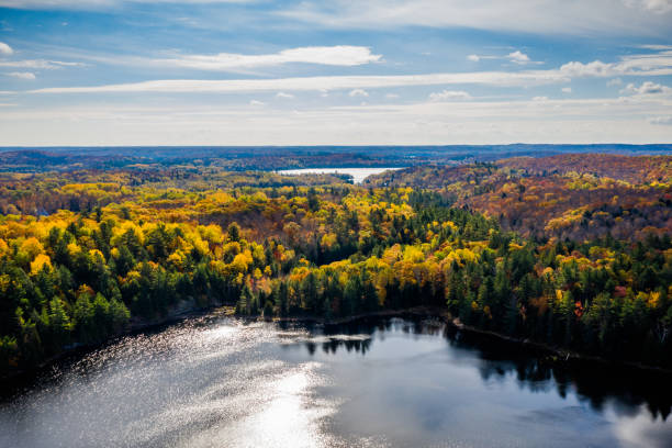 istock Forest and lake in autumn on a bright morning 1097806630