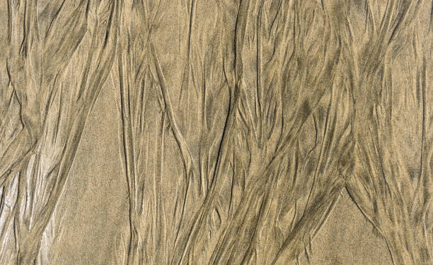 istock Traces of retracting water on sandy beach texture pattern. 1097833072