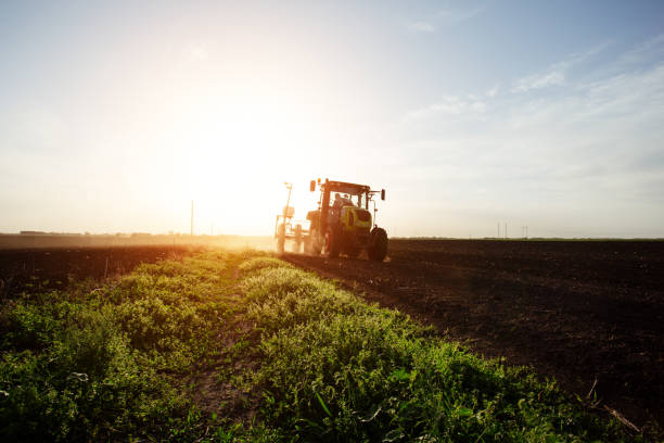 istock Farmer sowing crops at field with tractor. 1097842174