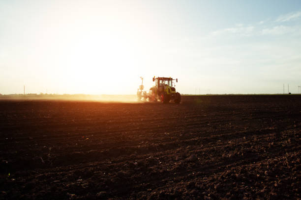 istock Farmer sowing crops at field with tractor. 1097842398