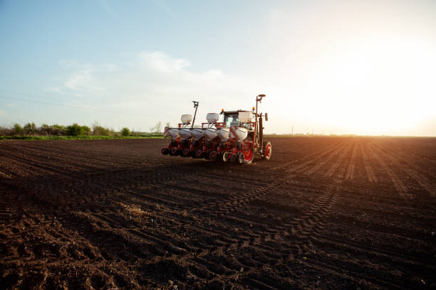 istock Farmer sowing crops at field with tractor. 1097842890