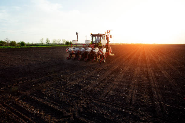 istock Farmer sowing crops at field with tractor. 1097843048