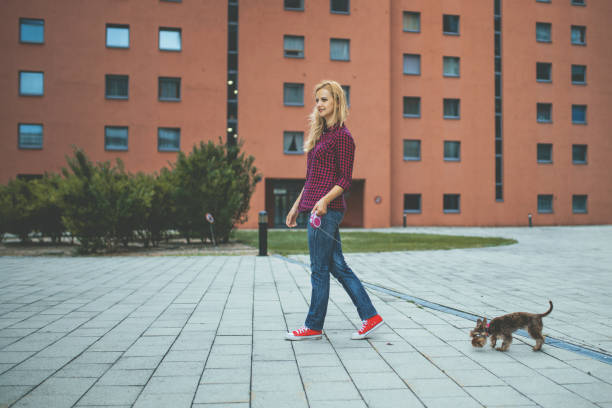 istock Woman using phone while walking with dog in the city 1097844600