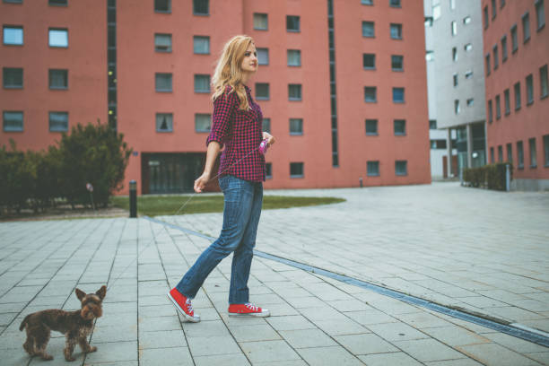 istock Woman using phone while walking with dog in the city 1097844610