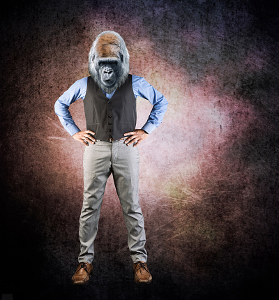 Humanoid Ape Gorilla - Gorilla head on man in a suit - Image manipulation
