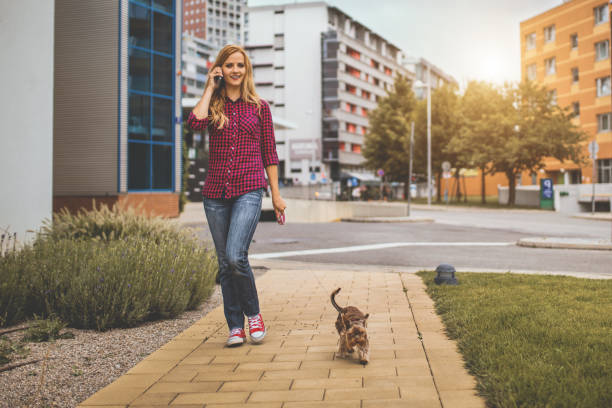 istock Woman using phone while walking with dog in the city 1097846618