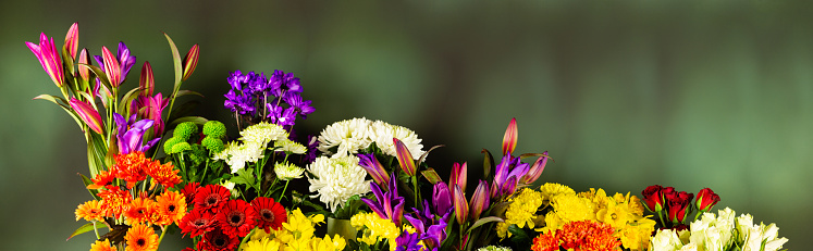 Panoramic display of mixed fresh vibrant flowers on blurry green background. High resolution image suitable for banners