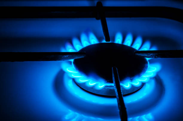 istock gas stove with blue flame 1097855224