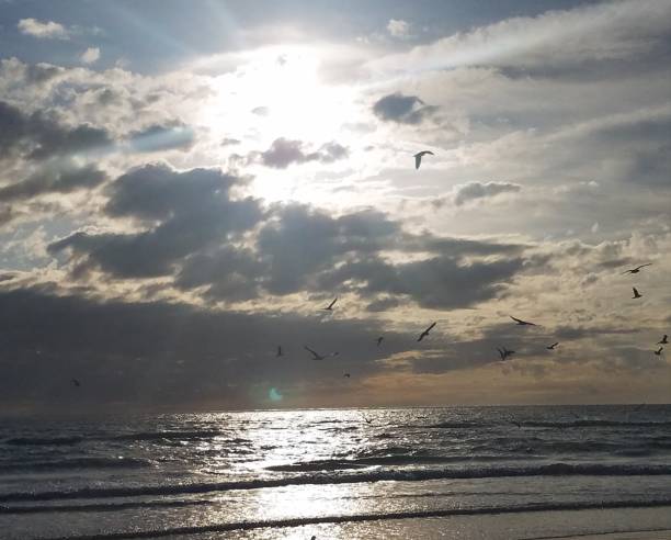 istock Winter Sunset on the Gulf Coast 1097857134
