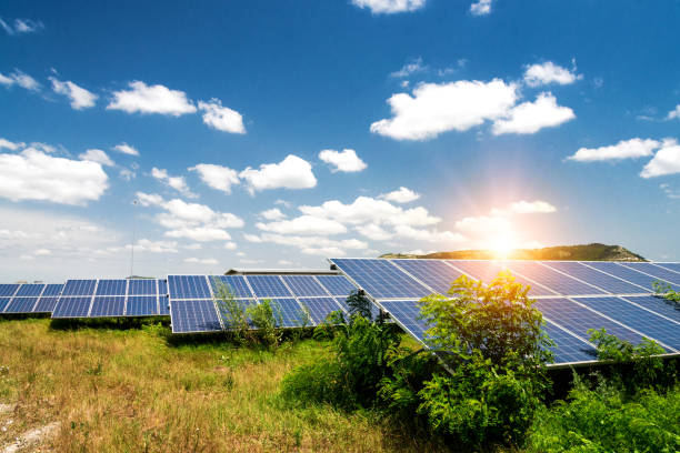 istock Solar panels, photovoltaic - alternative electricity source 1097874212
