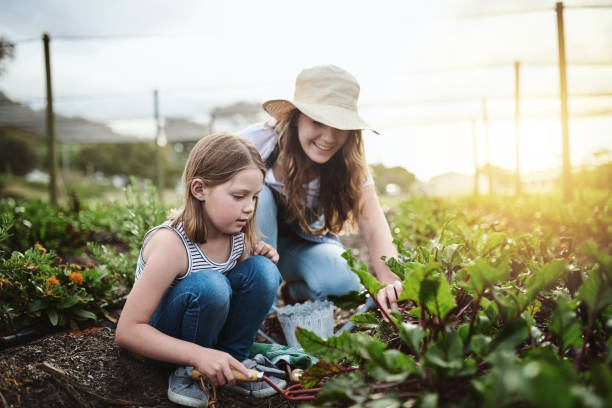 istock Farming is the vocation of optimists 1097881630