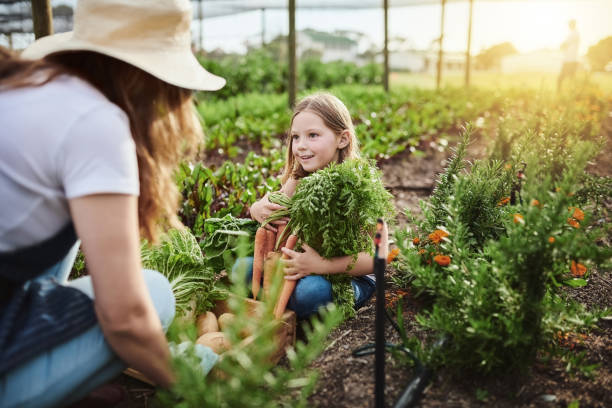 istock You reap what you sow 1097881654
