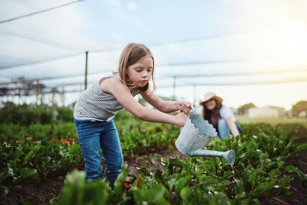 istock There's no such thing as a day off from farming 1097881666