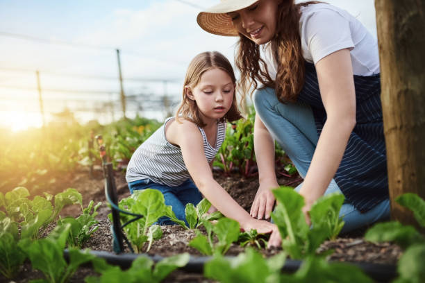 istock Straight from my farm to your kitchen 1097881688