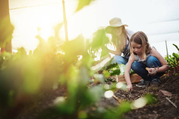 полный органической доброты - vegetable child growth people стоковые фото и изображения